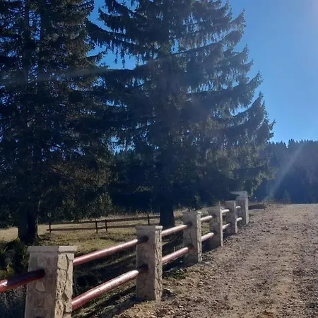 4 Seasons Lux Daire Vlasic