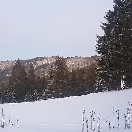 4 Seasons Lux * Vlašić