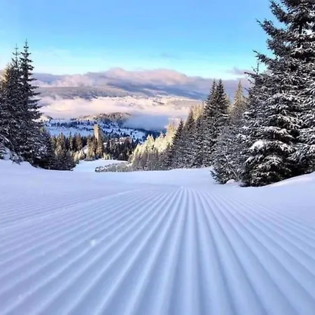 4 Seasons Lux * Vlašić